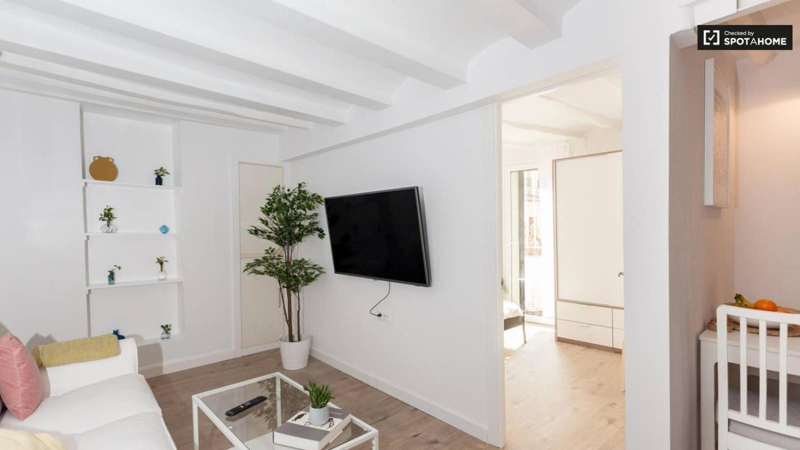 Apartamento Ramblas Bcn 02